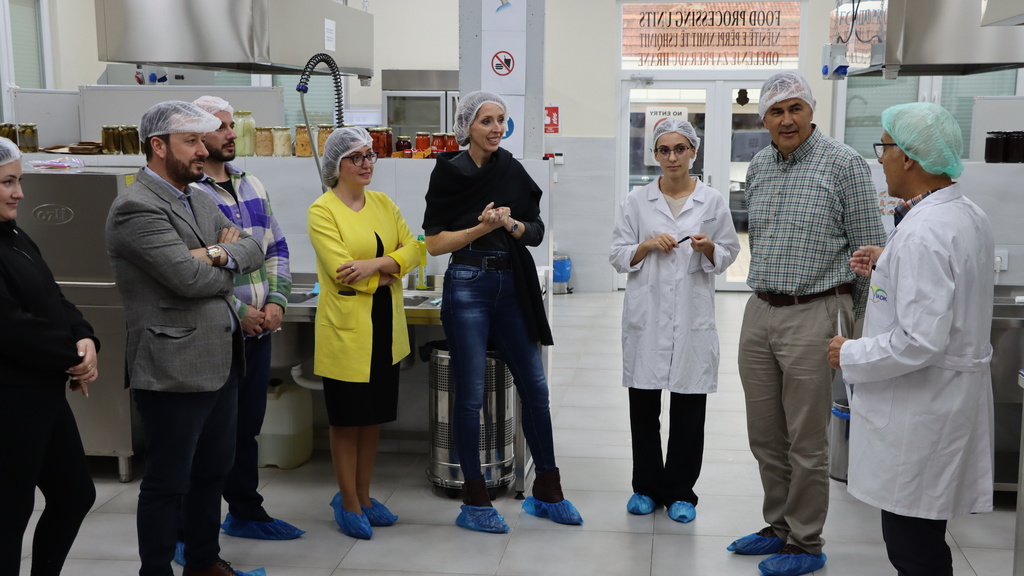 A group  of people wearing netted caps tour the Institute for Agriculture Development in Kosovo.