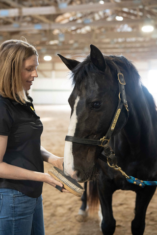 woman stands next to horse, letting him sniff brush