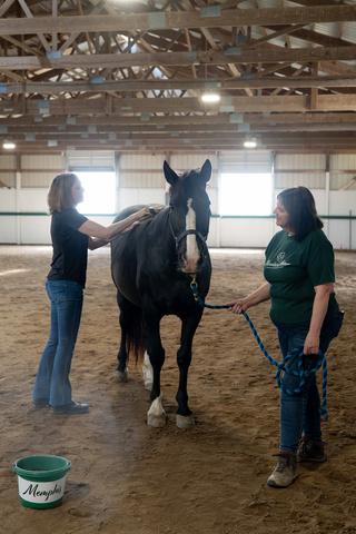 Two women stand on either side of a horse while one holds its lead and the other brushes it