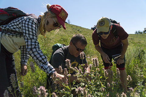 Neal, center, identifies wildflowers with his Geoscience Field Course students.