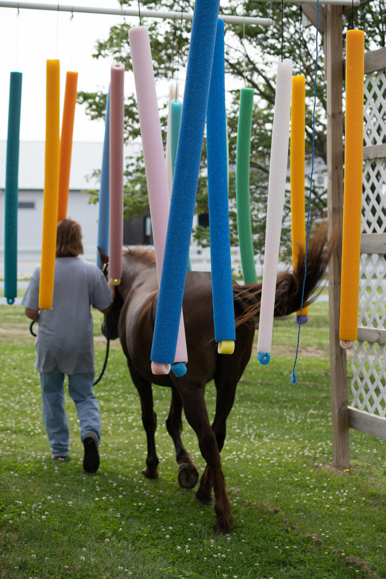 woman walks horse through pool-noodle obstacle course