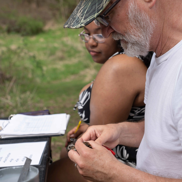 A School of the Wild instructor holds a small bird during a bird-banding demonstration while a student observes.