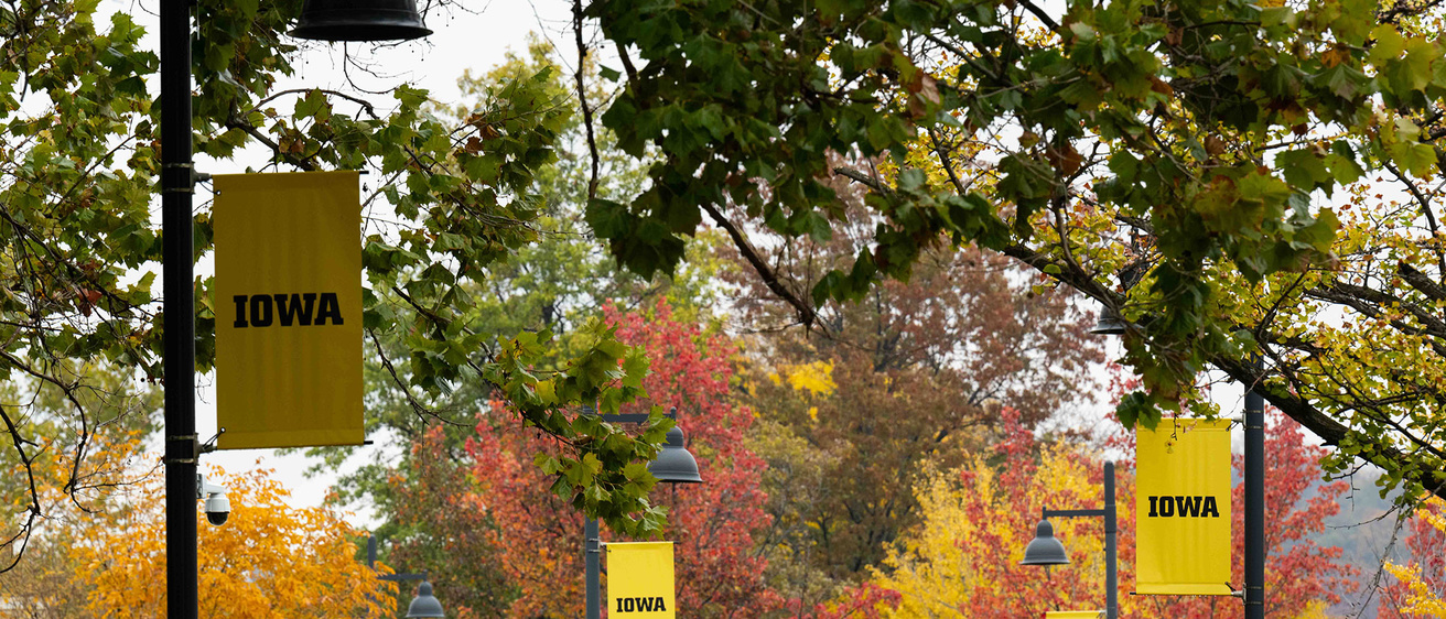 University of Iowa campus in the fall 