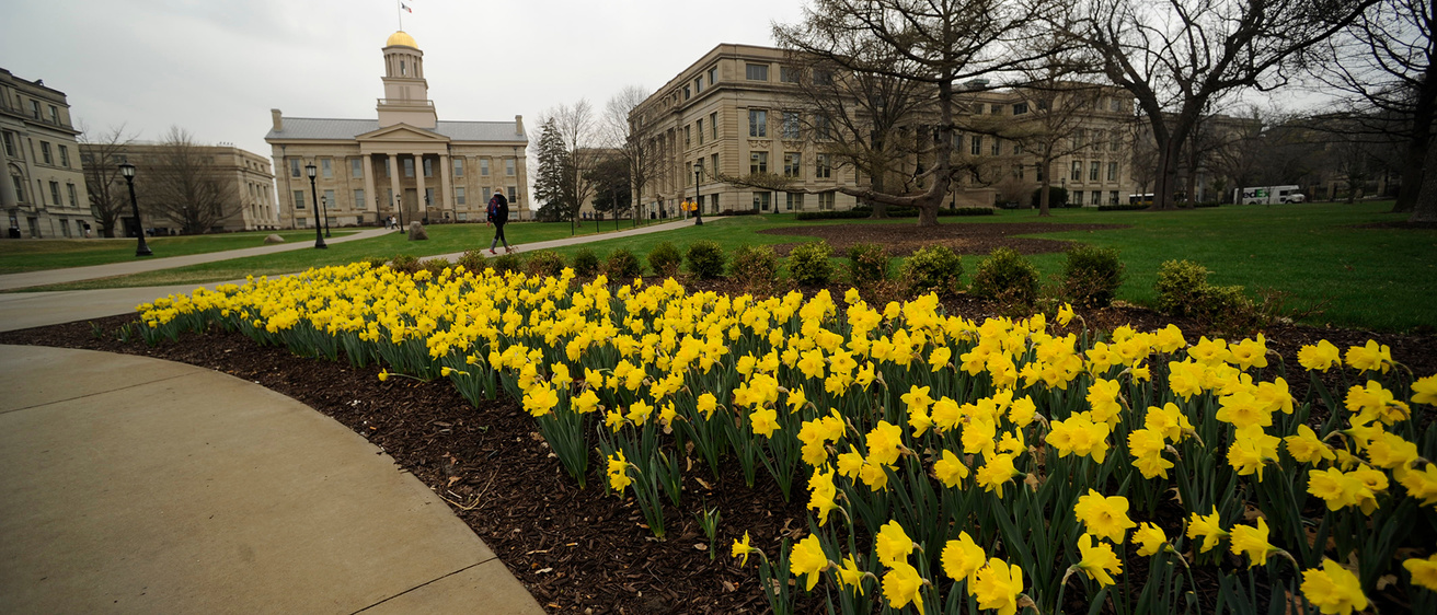 Flowers bloom on the UI campus in the spring 