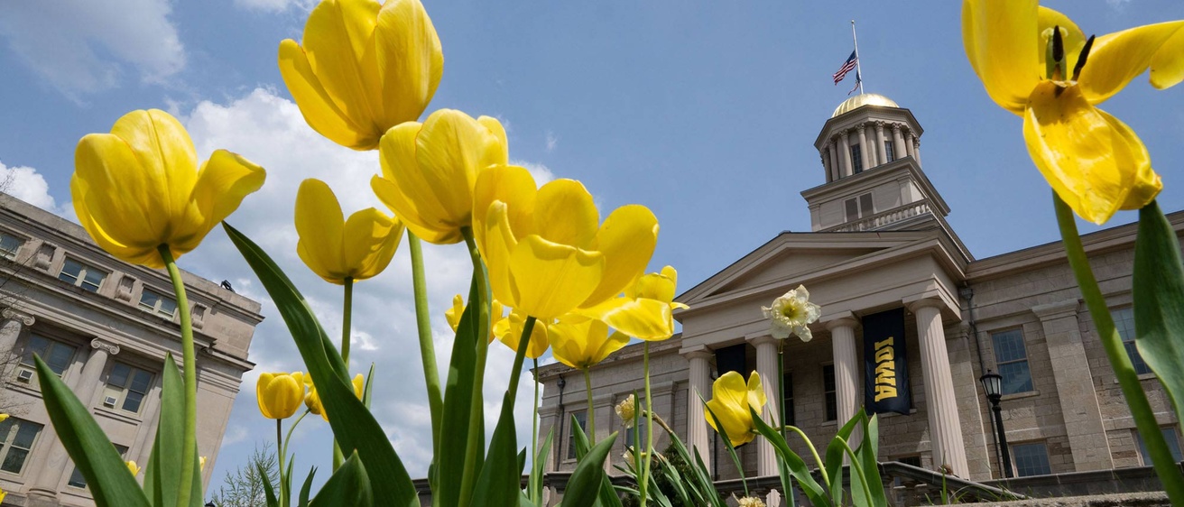 Large building with gold dome roof sits behind a garden of flowers