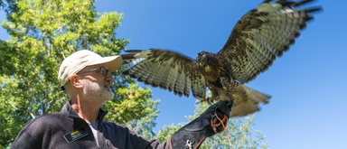 In the news: Iowa Raptor Project continues outreach and conservation