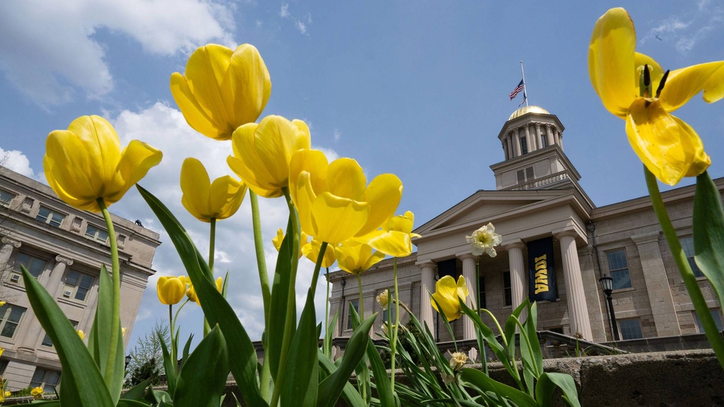 Large building with gold dome roof sits behind a garden of flowers