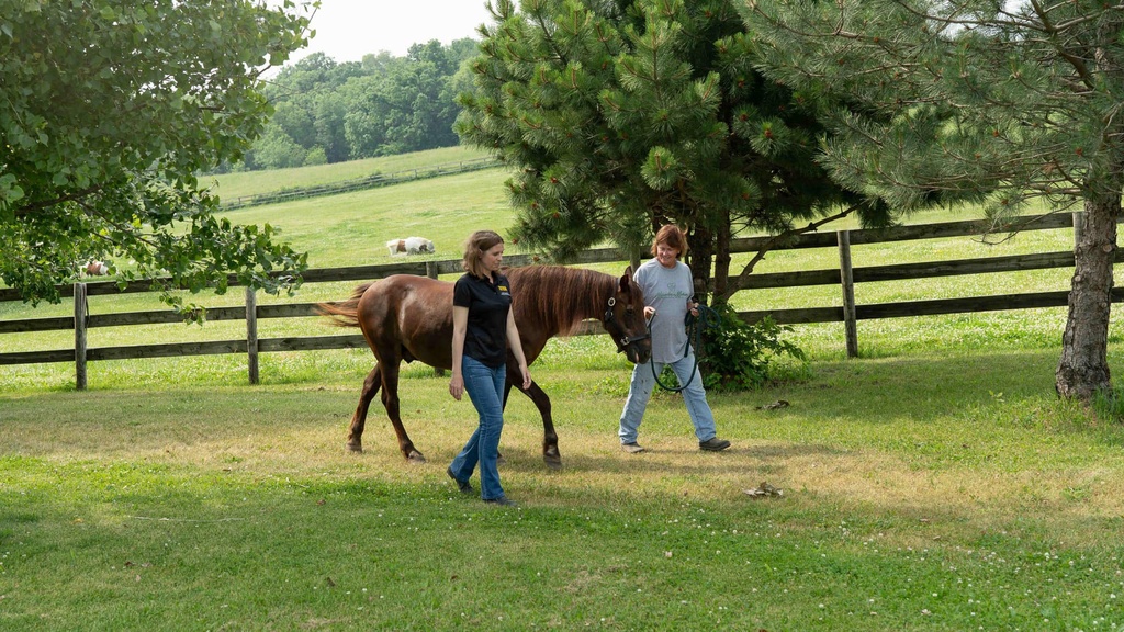 two women walk on trail, leading a horse